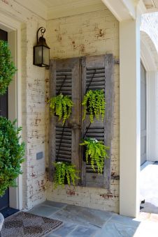 Fern on shutters